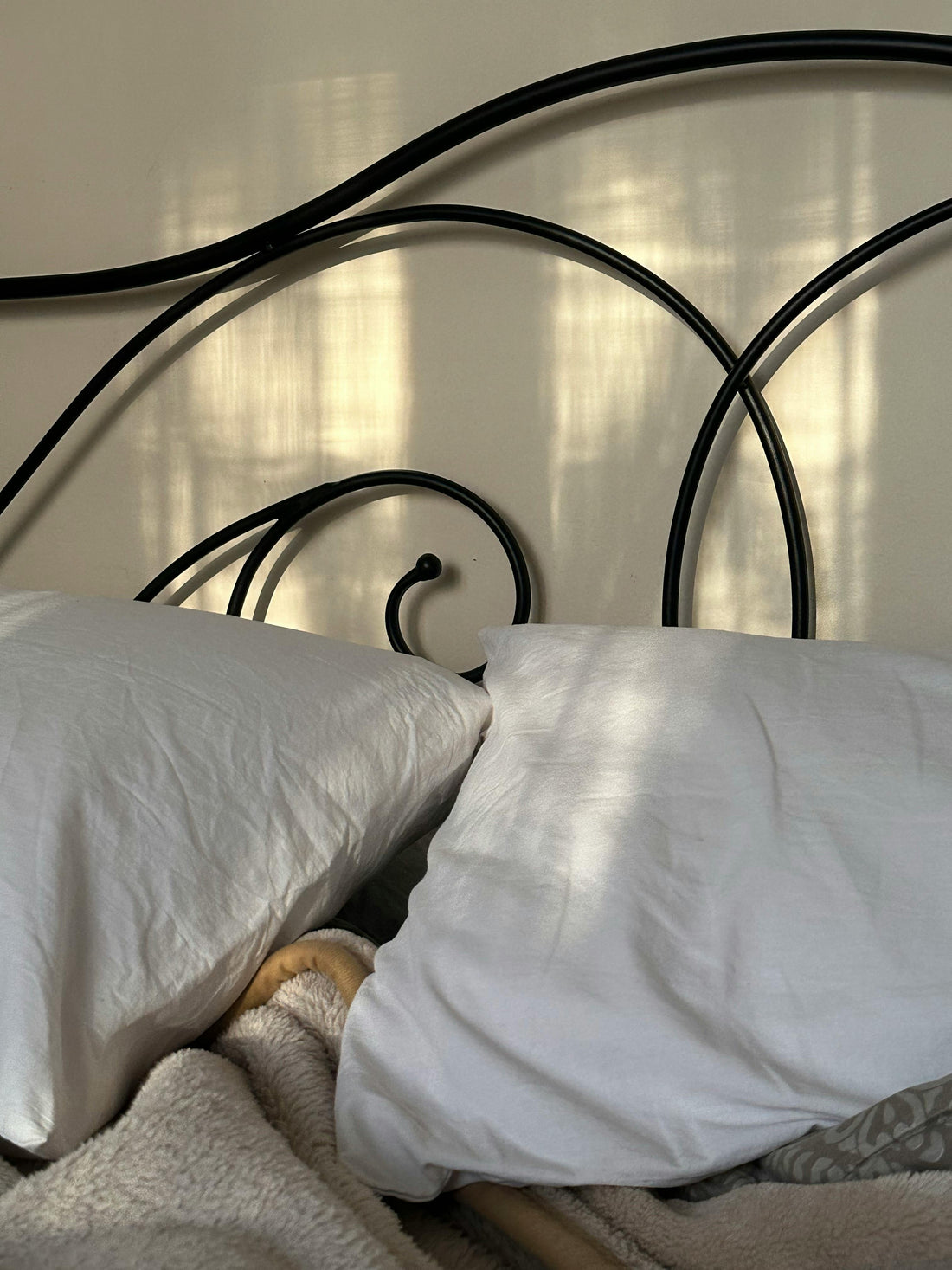 Eco Friendly Bamboo Sheets