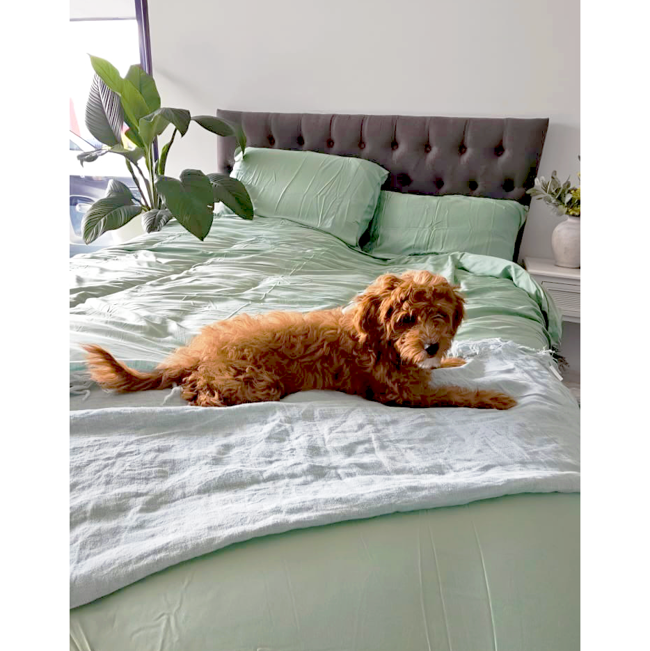 Bamboo Quilt Cover Set