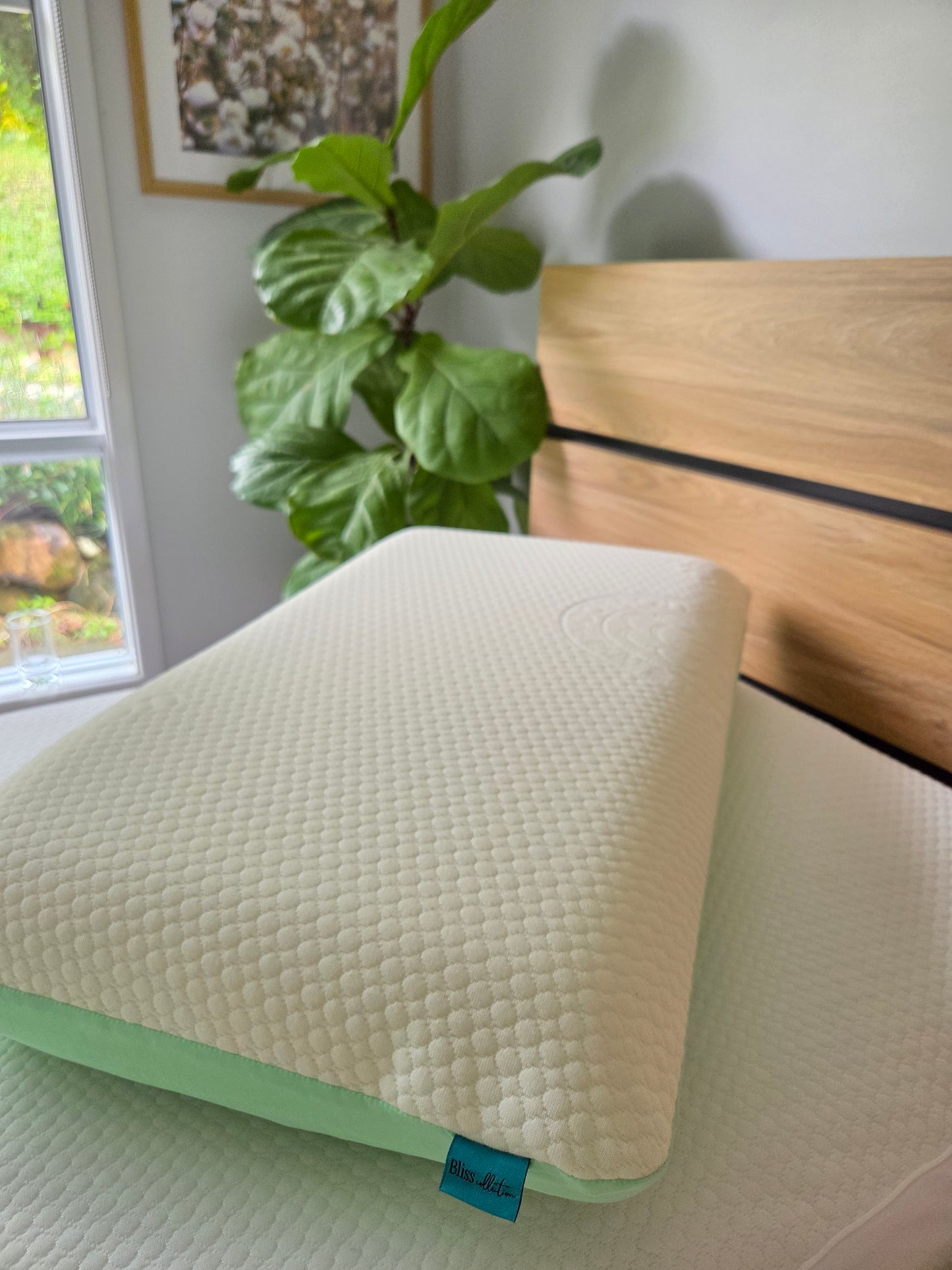 The Cooling Cloud Adjustable & Reversible Pillow