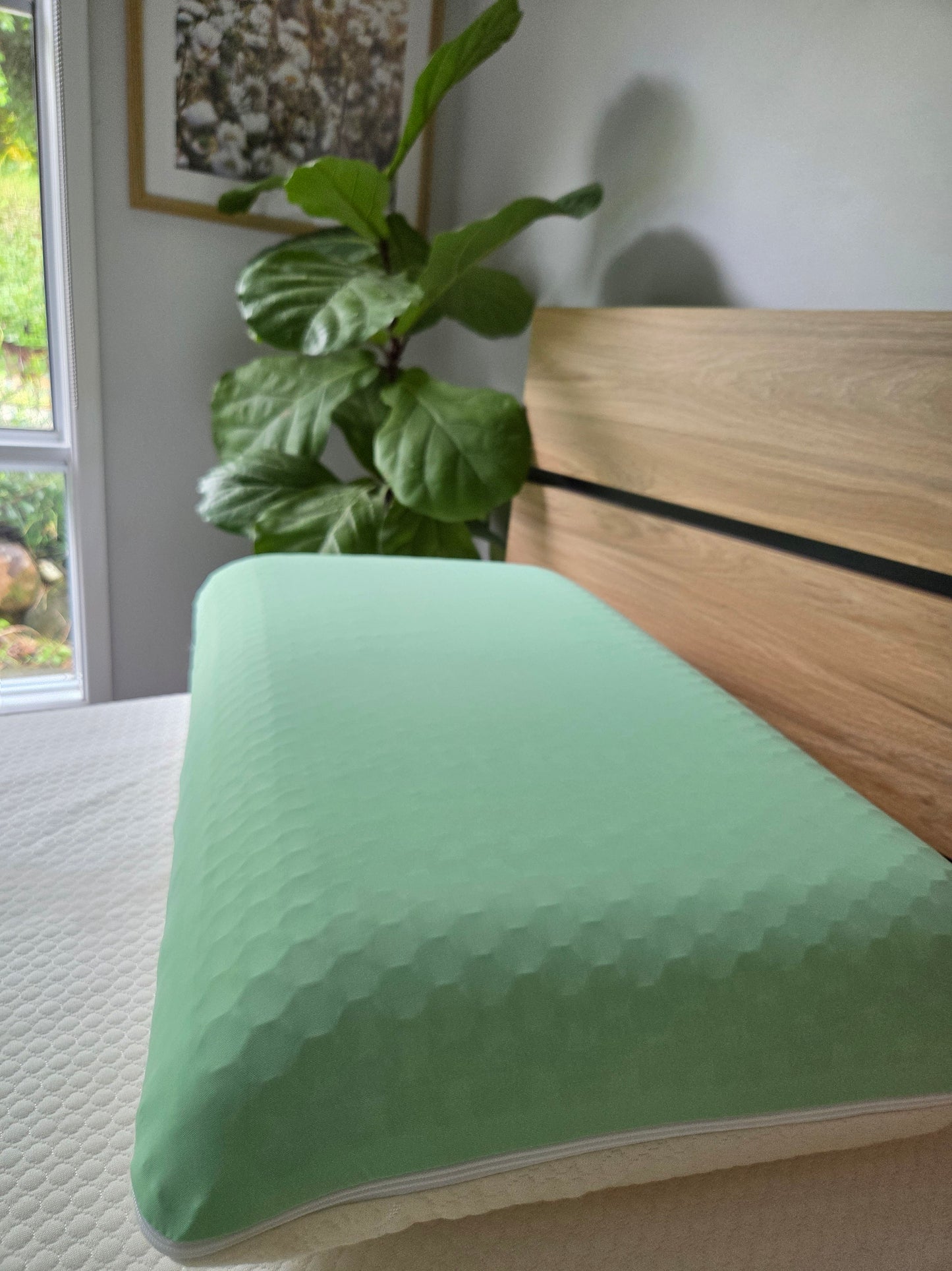 The Cooling Cloud Adjustable & Reversible Pillow